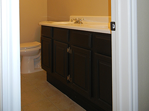 bathroom Cabinets professional service